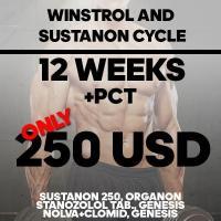 Winstrol and Sustanon Cycle